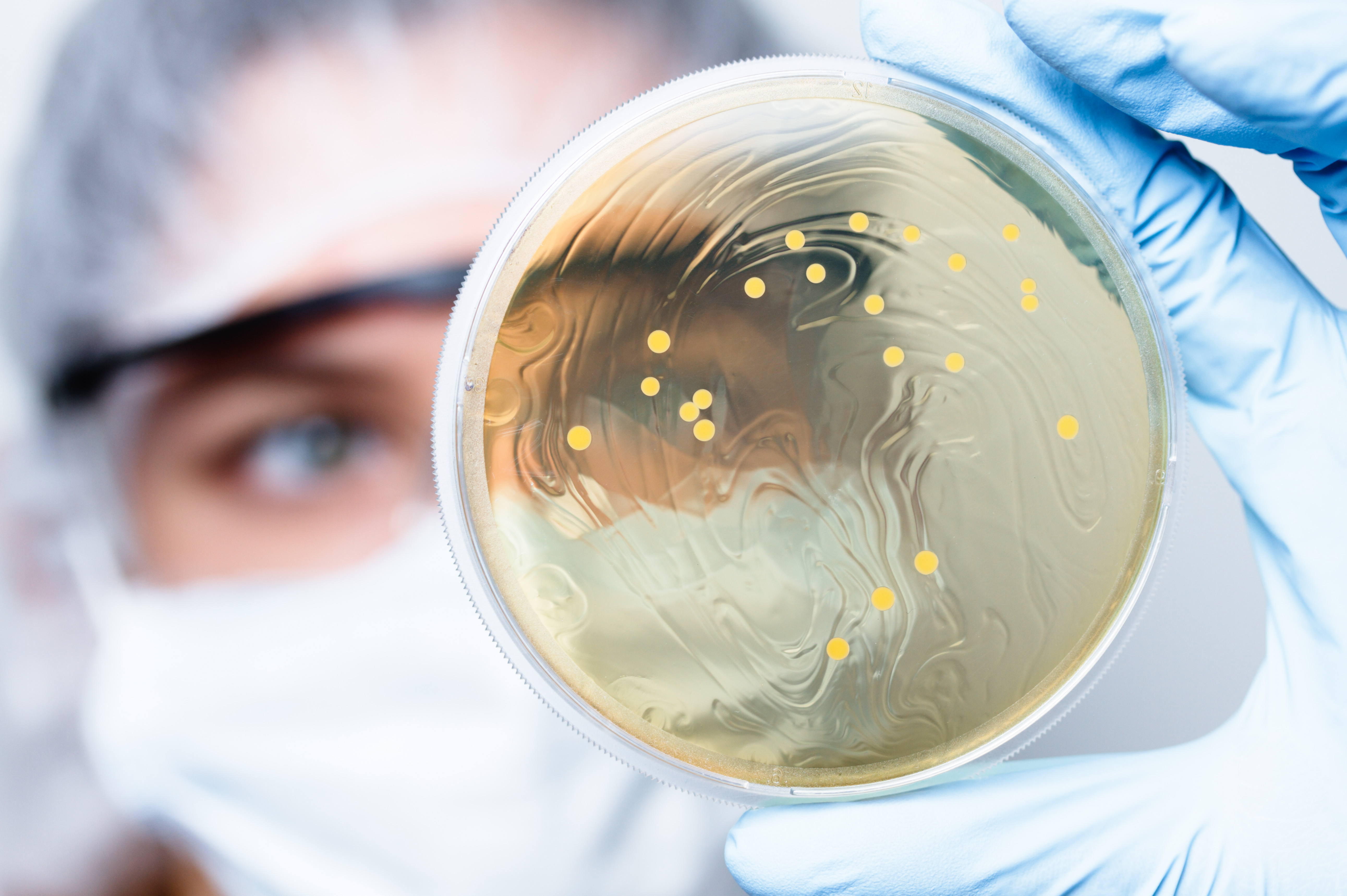SteriLab™ Testing Services – Microbiology Bioburden Laboratory